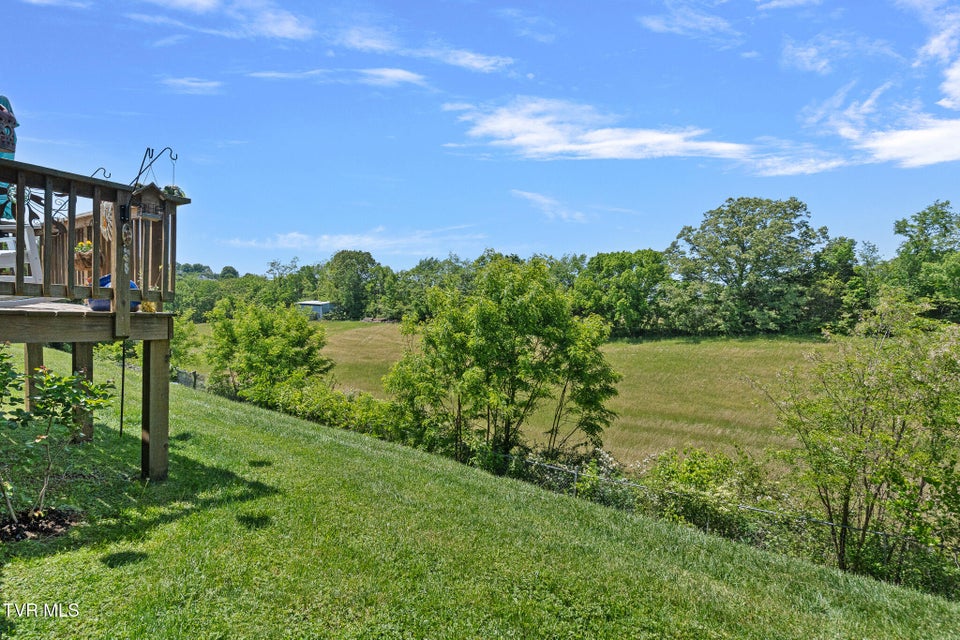 Photo #31: 243 Radford Drive
