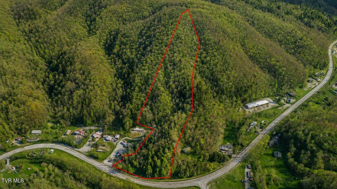 Photo #4: 11/Ac Tbd Hwy 19E 