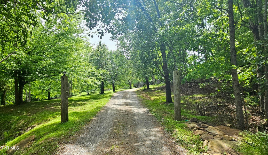 Photo #3: 13544 Revera Drive