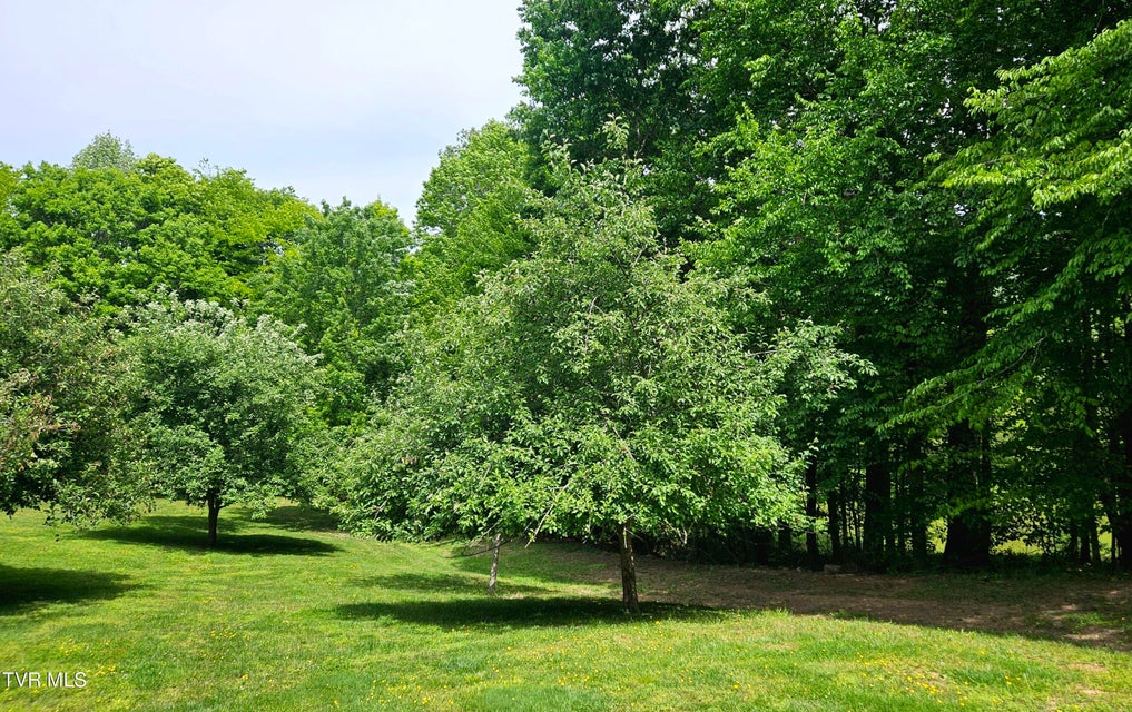 Photo #41: 13544 Revera Drive