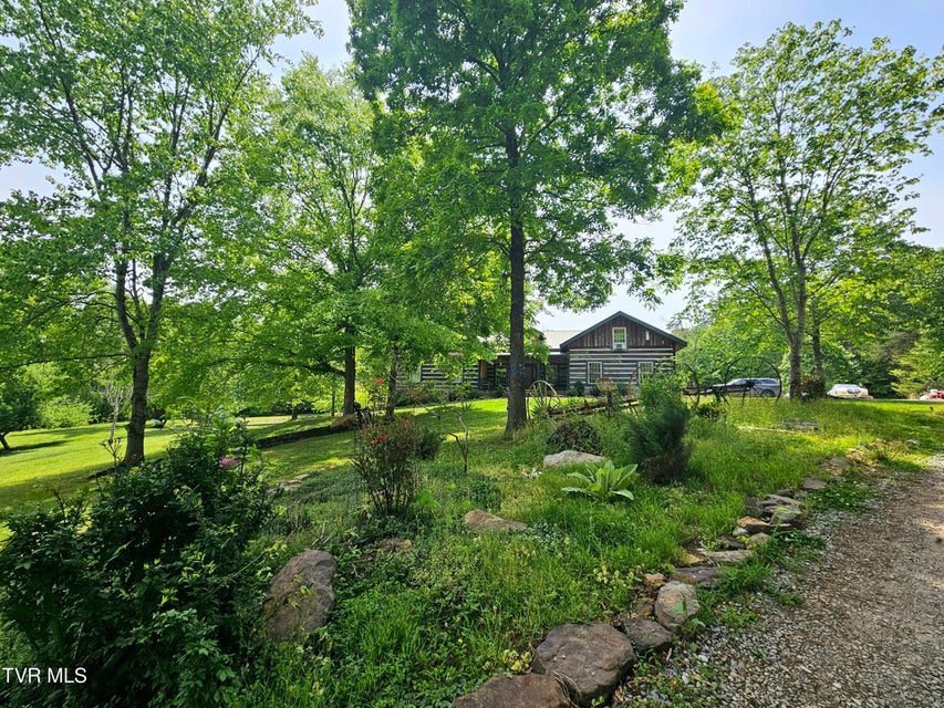 Photo #4: 13544 Revera Drive