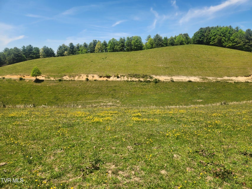 Photo #43: 5200 Greene Mountain Road