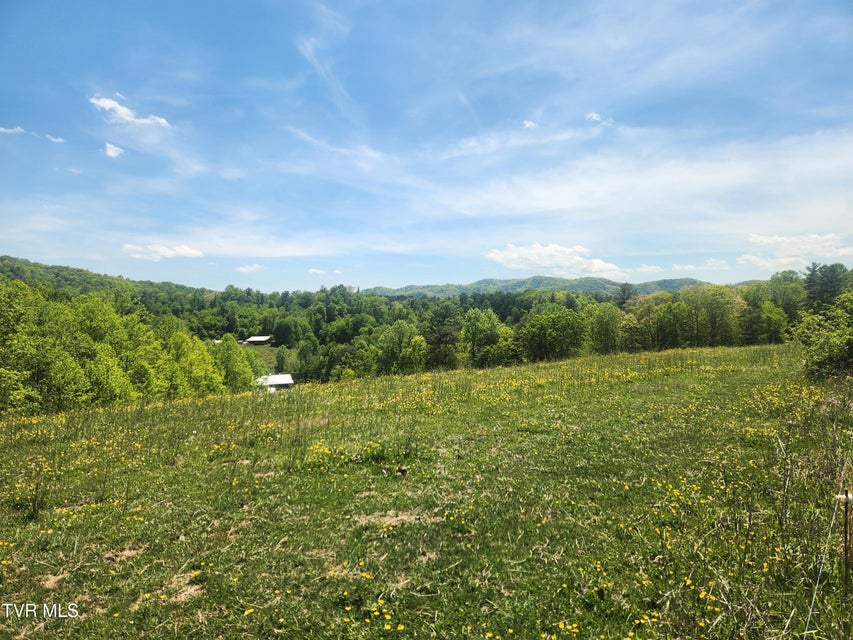 Photo #44: 5200 Greene Mountain Road