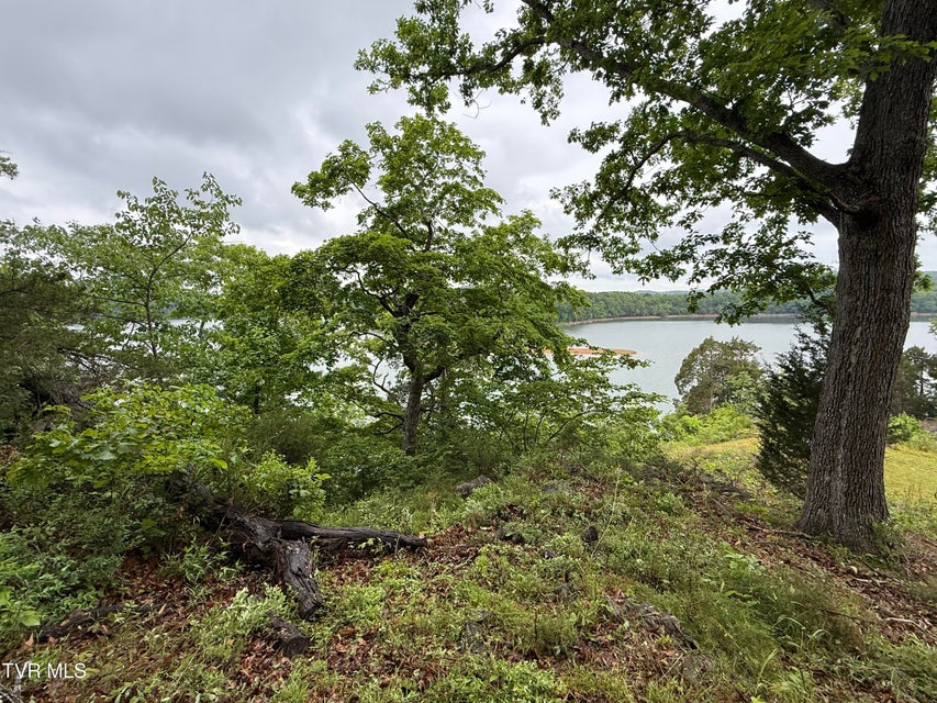 Photo #7: 626 Harbor Point Drive
