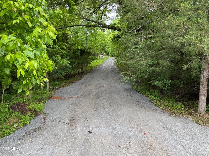 Photo #3: 626 Harbor Point Drive