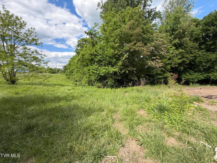 Photo #2: 316 Wiley Town Road