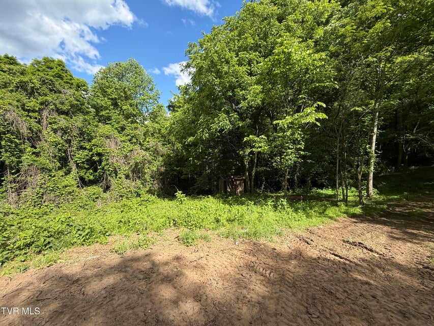 Photo #7: 316 Wiley Town Road