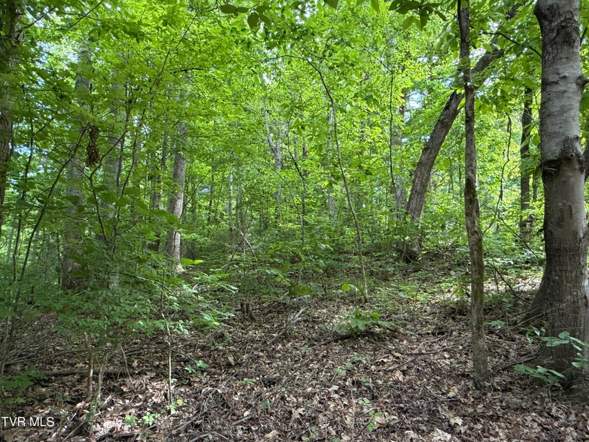 Photo #10: 316 Wiley Town Road