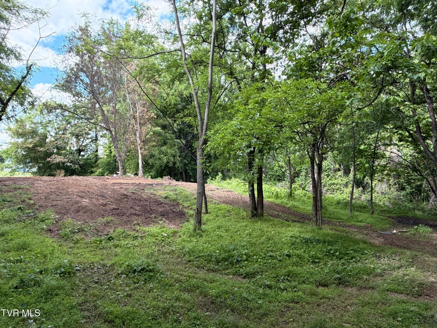 Photo #13: 316 Wiley Town Road