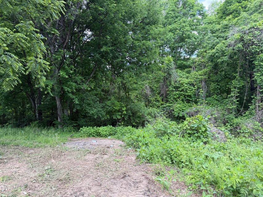 Photo #17: 316 Wiley Town Road