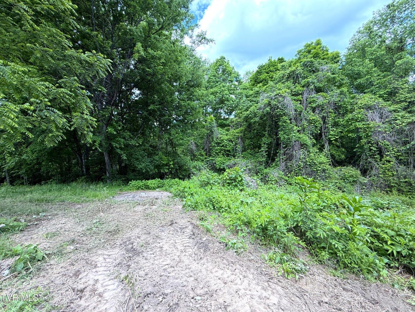 Photo #15: 316 Wiley Town Road