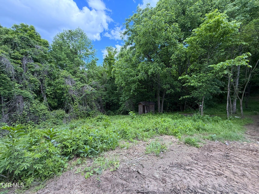 Photo #16: 316 Wiley Town Road