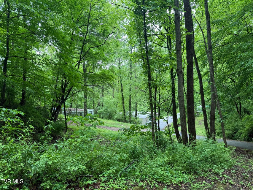 Photo #10: 345 Hamblen Street