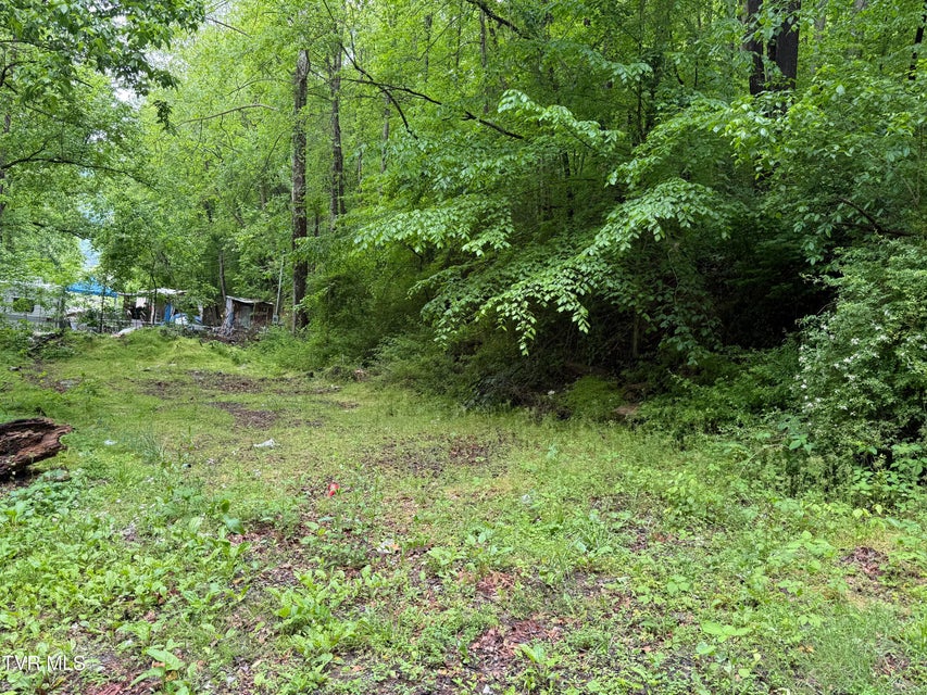 Photo #11: 345 Hamblen Street