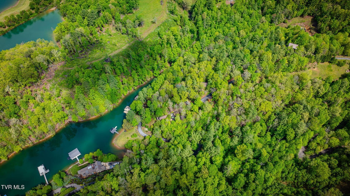 Photo #5: Tbd Cove Ridge Road