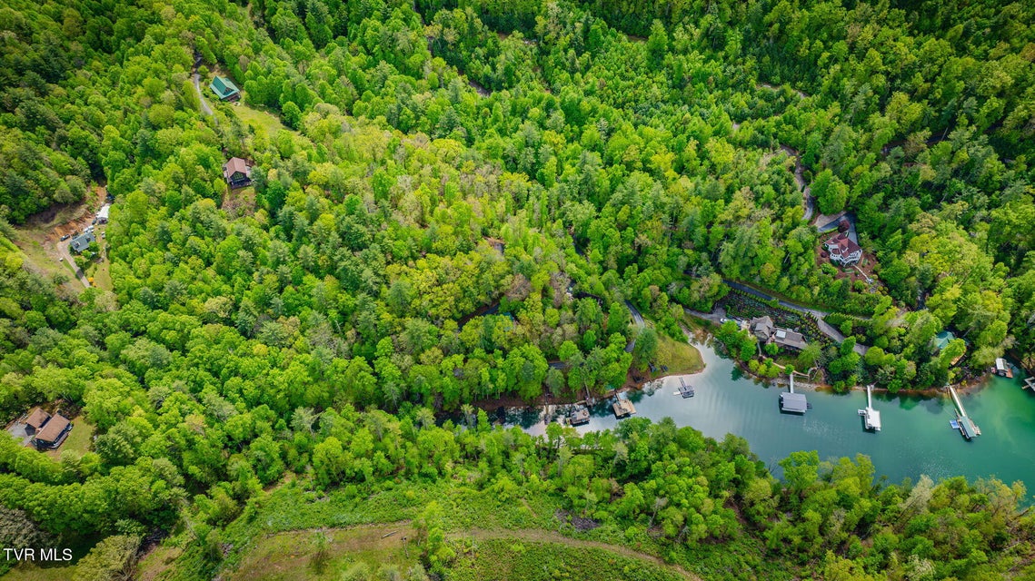 Photo #3: Tbd Cove Ridge Road