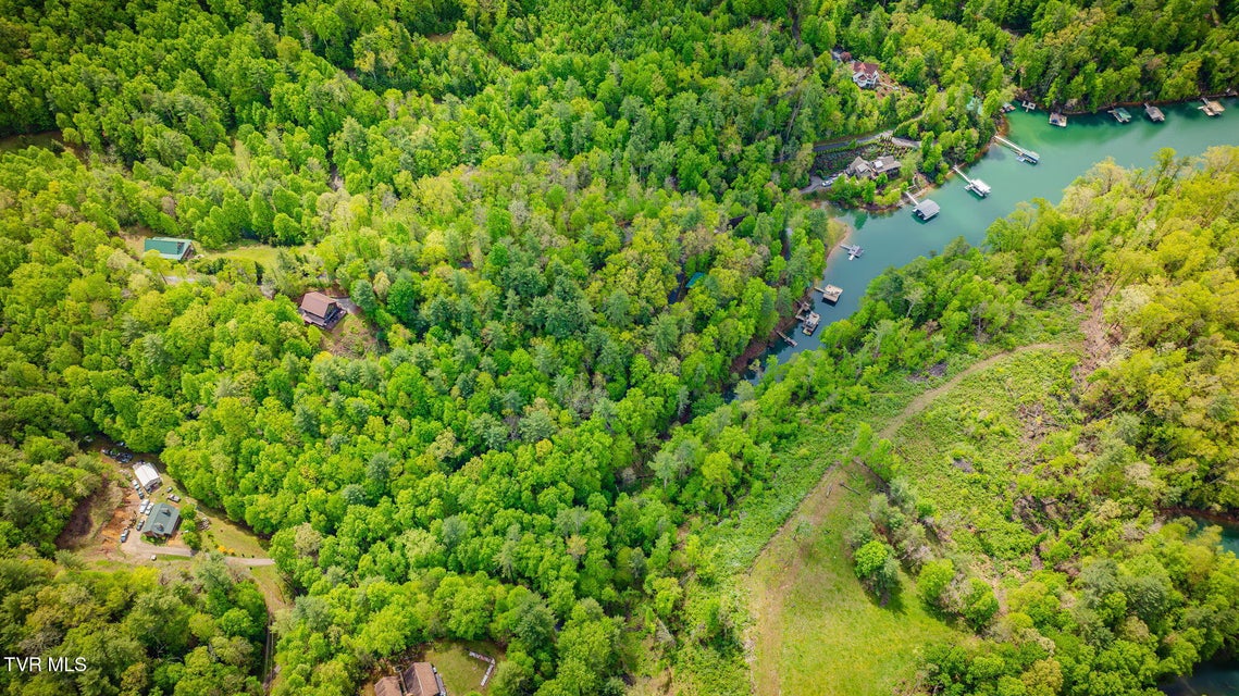 Photo #4: Tbd Cove Ridge Road