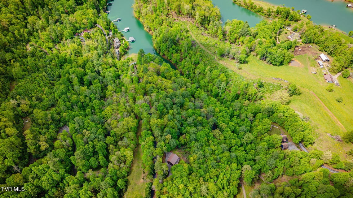 Photo #8: Tbd Cove Ridge Road
