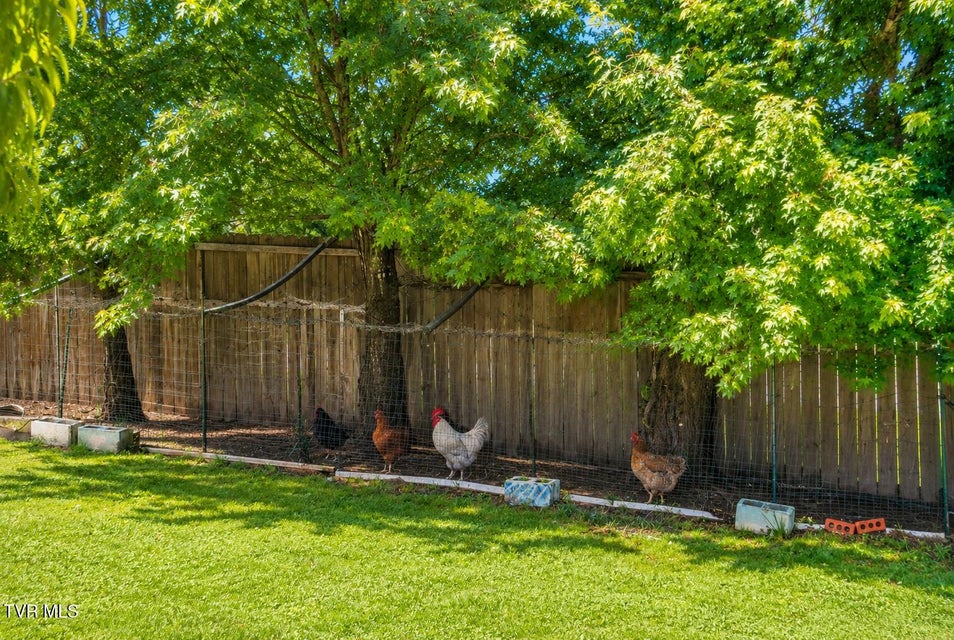 Photo #29: 225 Shaw Road