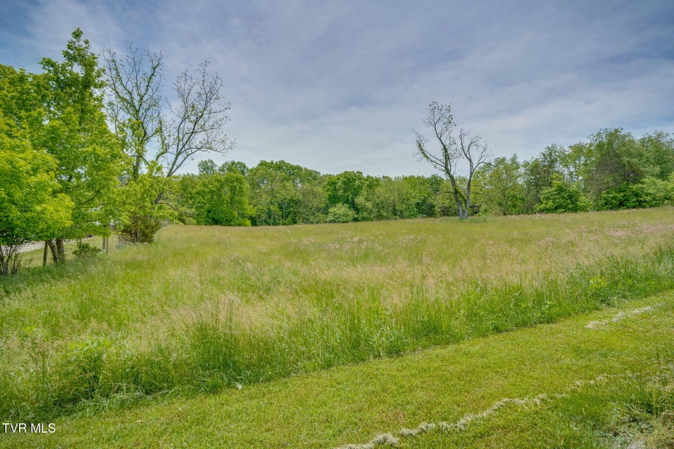 Photo #40: 397 Buncombe Road