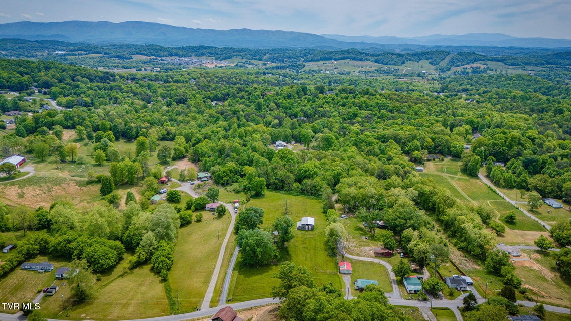 Photo #44: 397 Buncombe Road