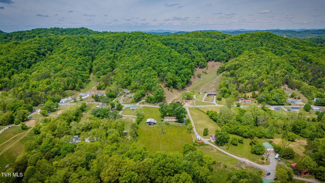 Photo #46: 397 Buncombe Road