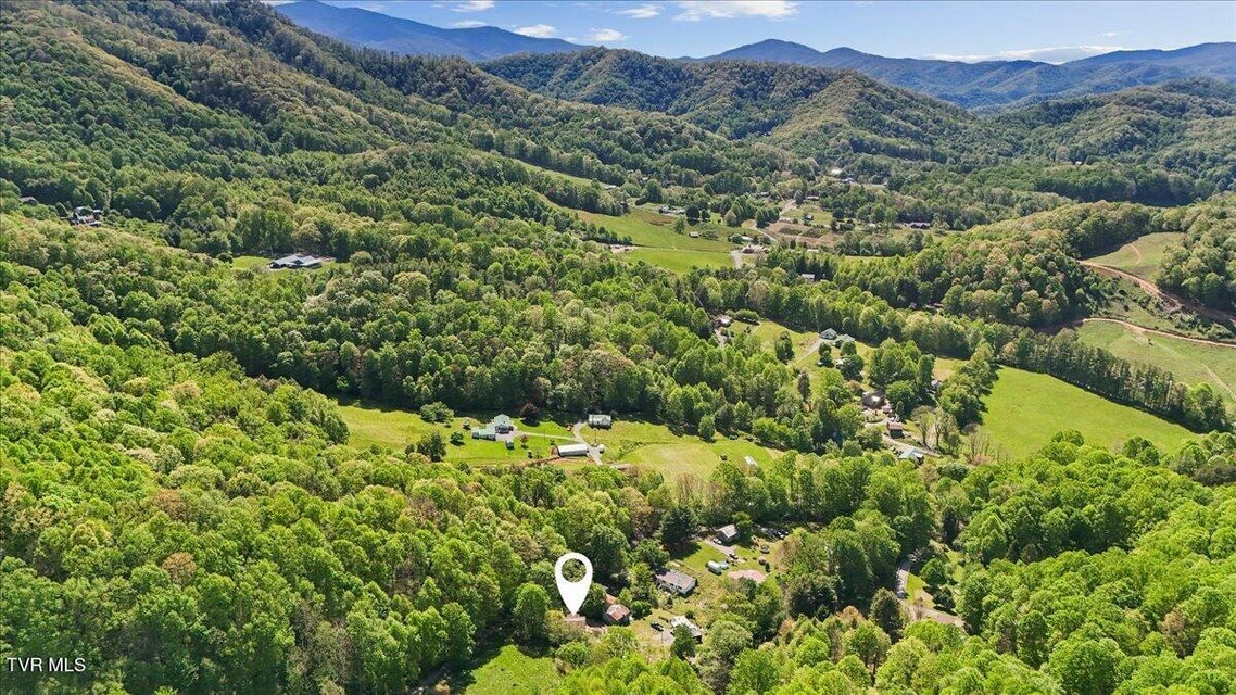 Photo #11: 195 Willard Perkins Road