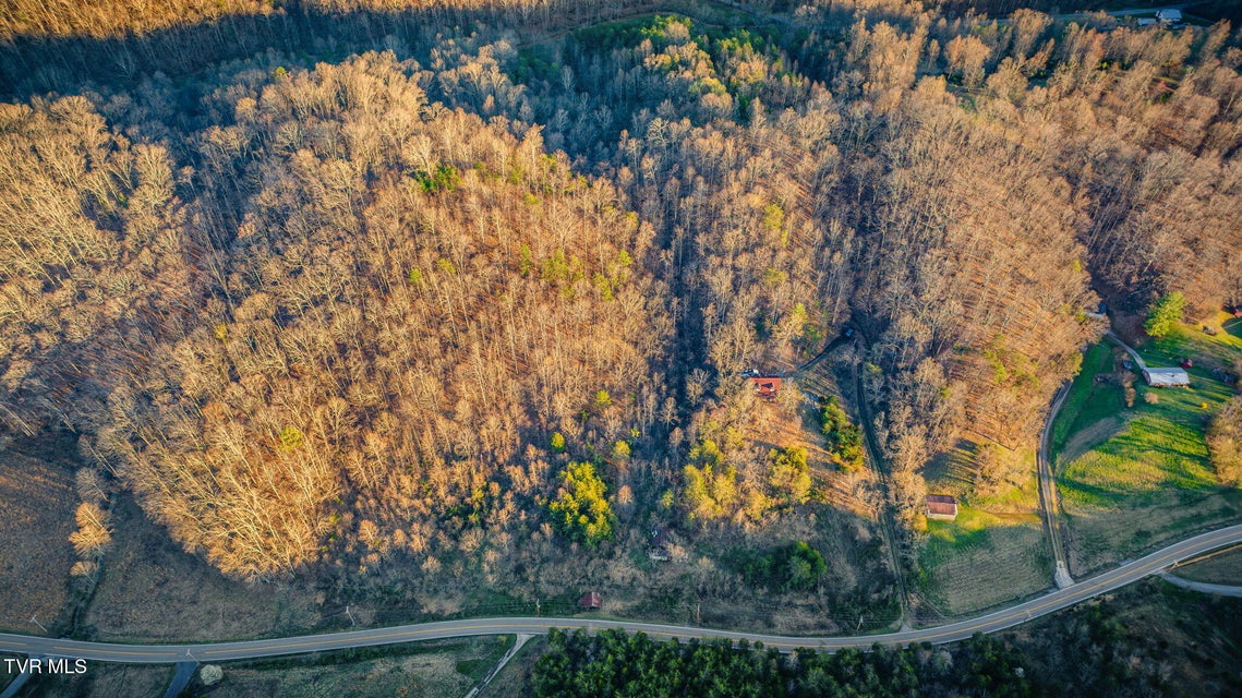 Photo #5: 7389 Lone Star Road