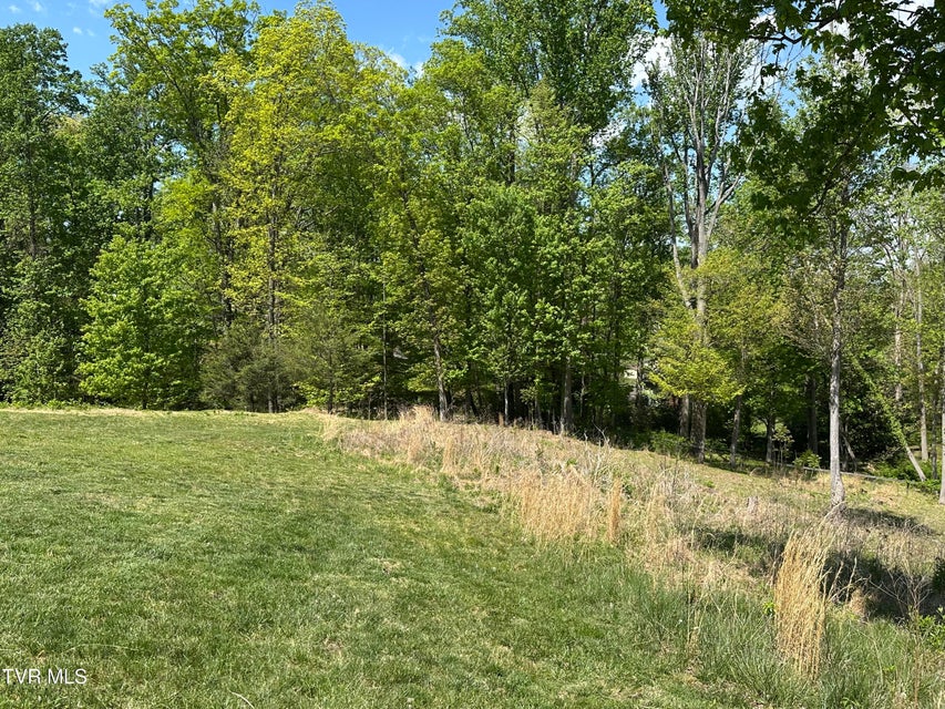 Photo #10: 21506 Plantation Road