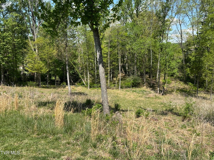 Photo #11: 21506 Plantation Road