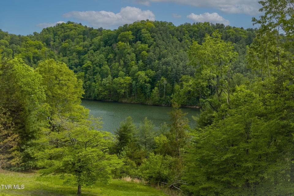 Photo #15: 115 Lonesome Pine Trail