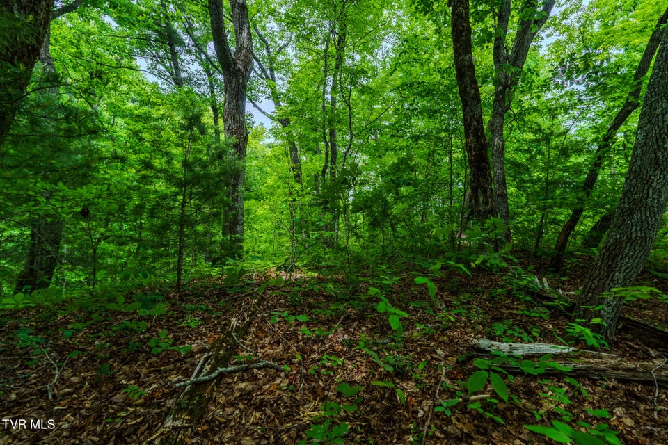 Photo #47: 1056 Dudley Drive