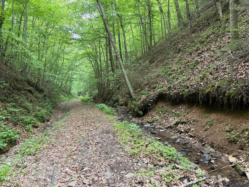Photo #2: Tbd Highway 66 