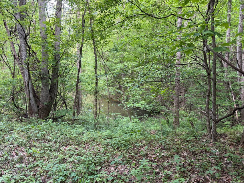 Photo #20: Tbd Highway 66 
