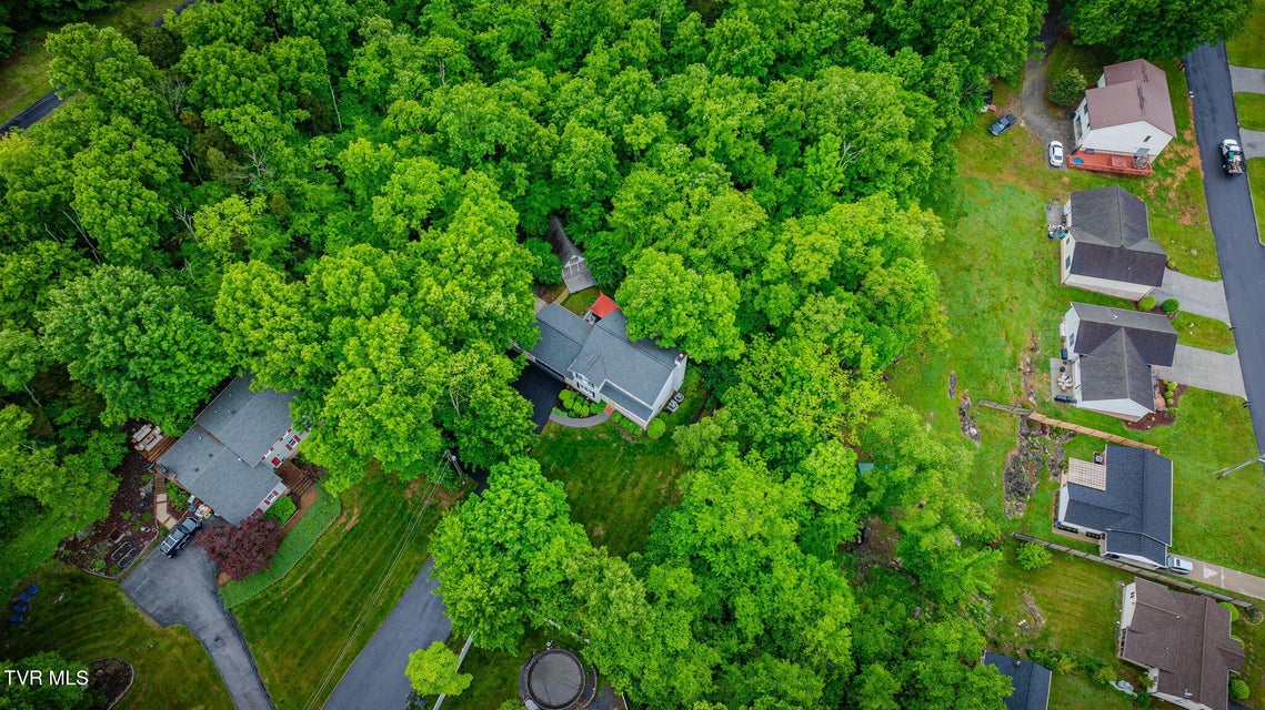 Photo #57: 3605 Rockwood Place