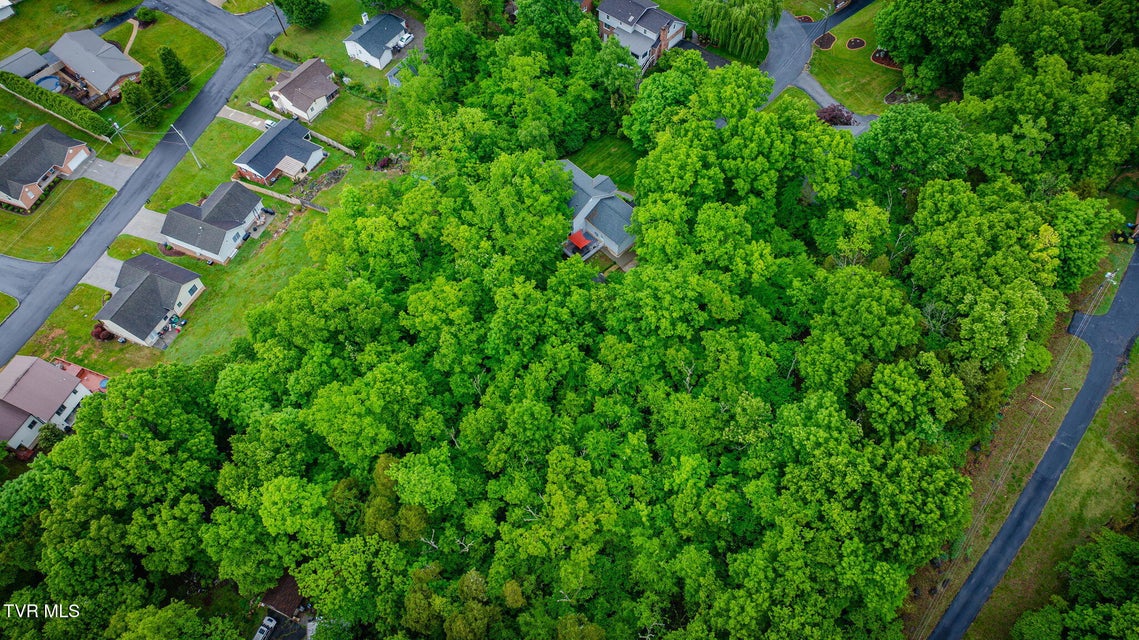 Photo #60: 3605 Rockwood Place