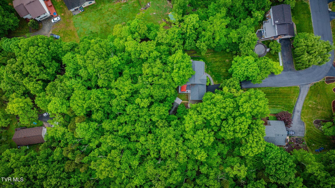 Photo #61: 3605 Rockwood Place