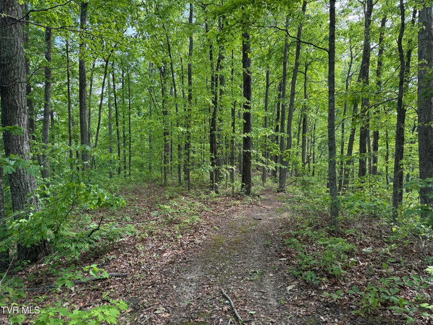 Photo #33: Tbd Highway 66 