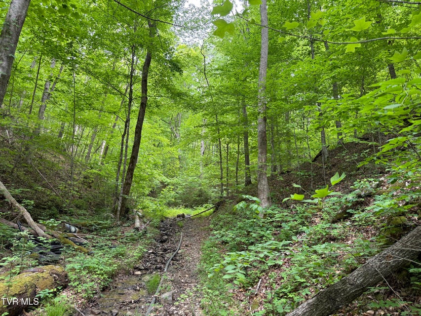 Photo #40: Tbd Highway 66 