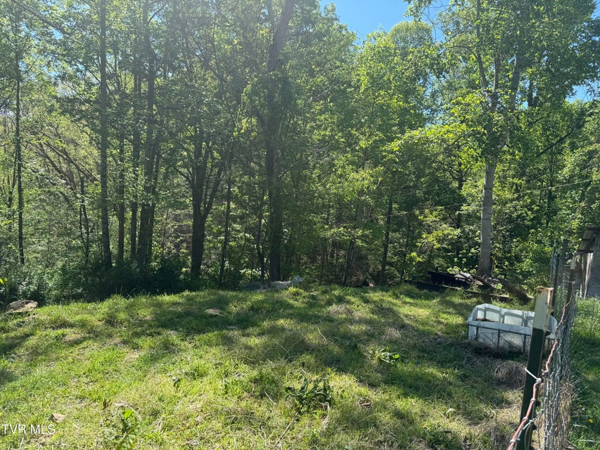 Photo #19: 12432 Crab Orchard Road