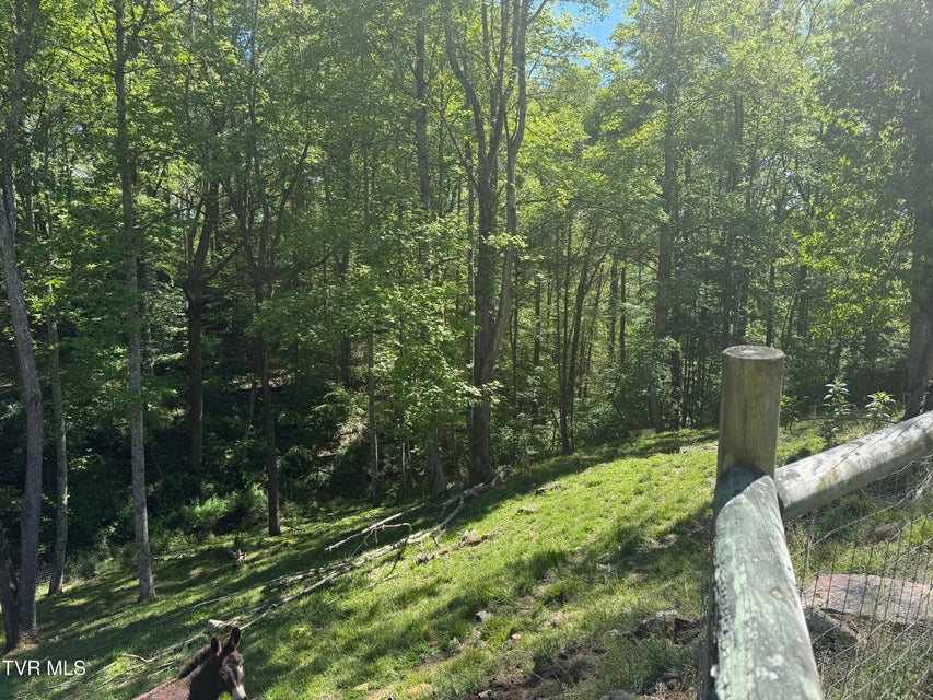 Photo #24: 12432 Crab Orchard Road