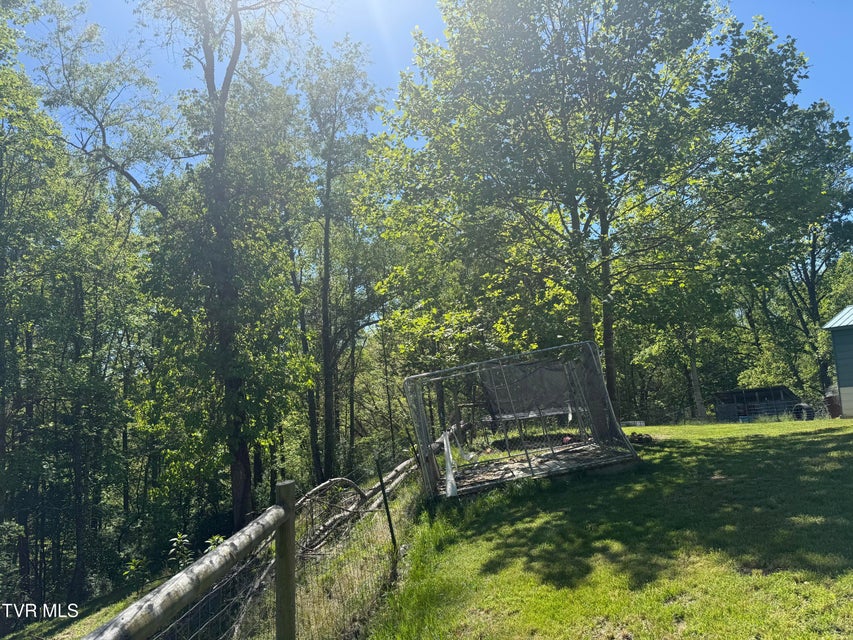 Photo #25: 12432 Crab Orchard Road
