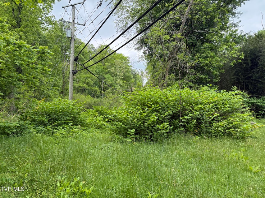 Photo #2: 721 Taggart Avenue