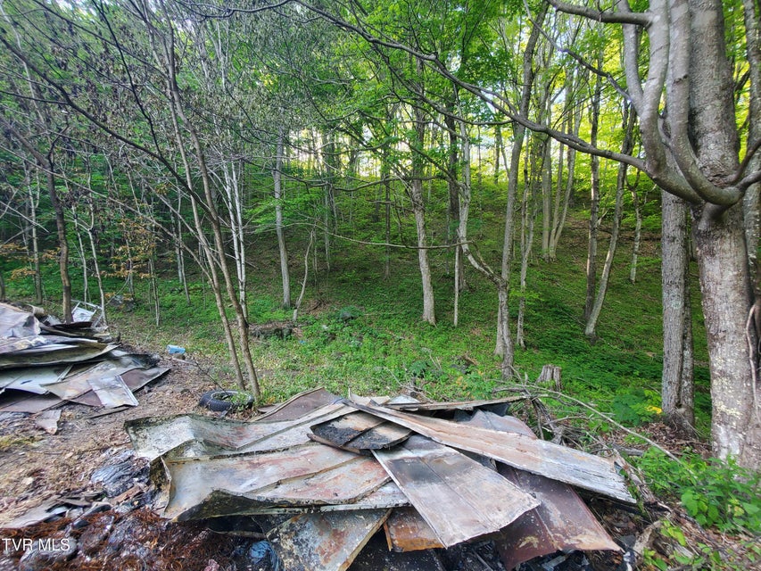 Photo #19: 190 Big Cove Creek Road