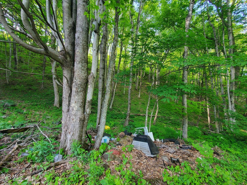 Photo #18: 190 Big Cove Creek Road