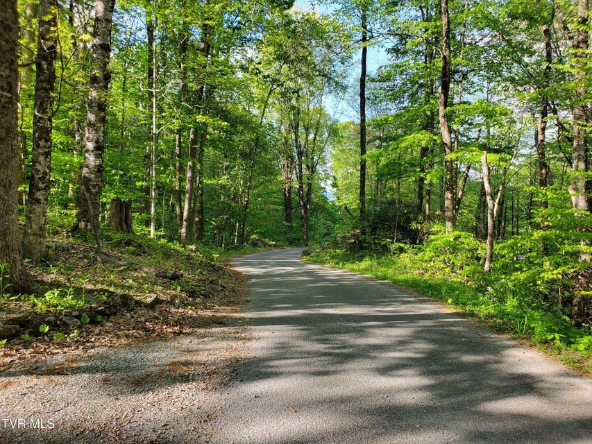 Photo #15: 190 Big Cove Creek Road