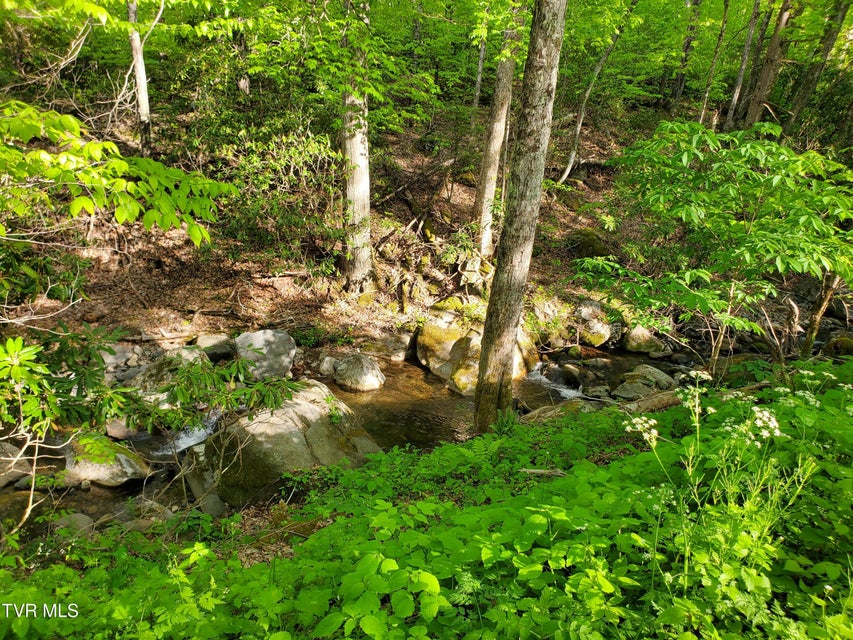 Photo #14: 190 Big Cove Creek Road