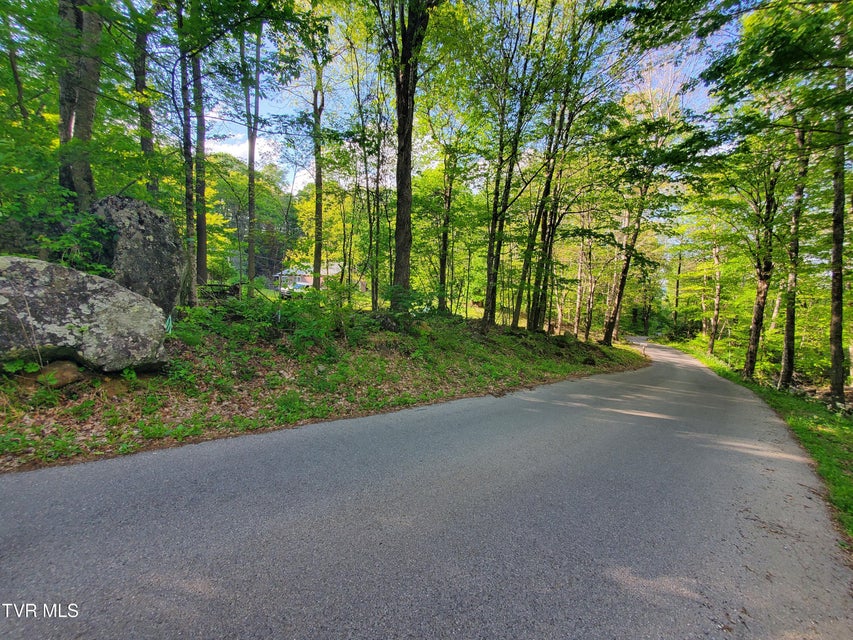 Photo #16: 190 Big Cove Creek Road