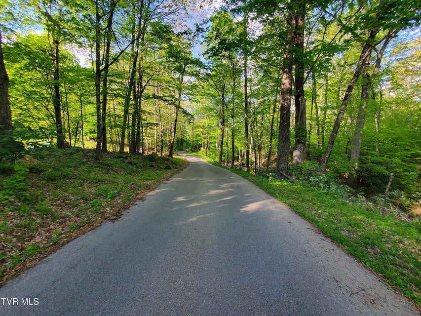 Photo #17: 190 Big Cove Creek Road