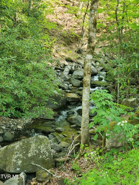 Photo #4: 190 Big Cove Creek Road